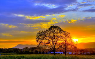 Scenery