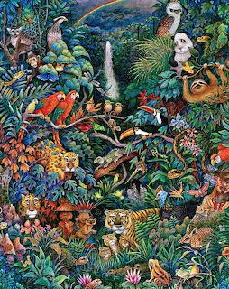 Rainbow rainforest, Bill Bell