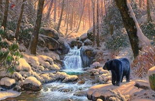 Jungle Bear
