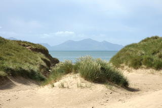 Newborough Warren