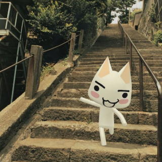 cute kitty