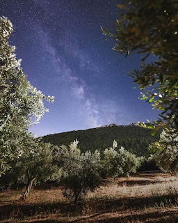 Arkitsa Fthiotis