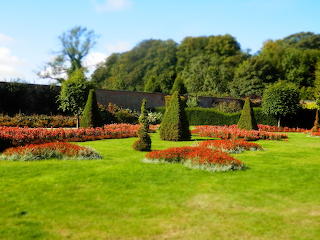 Bangor walled garden flowers
