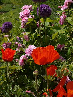 Flower Bed
