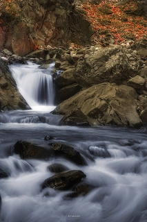 stream