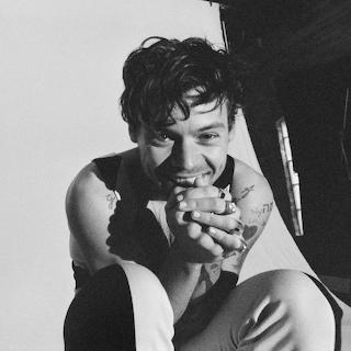 harry styles