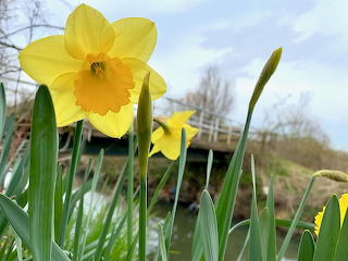 Spring