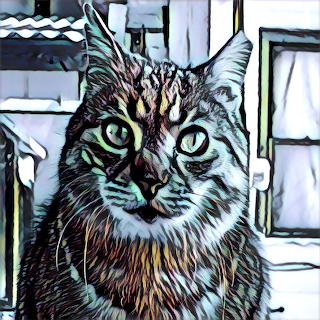 Paddy O'Malley