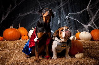 Trick or treat