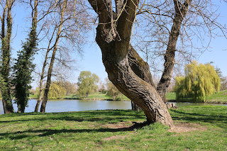 Alsace Ensisheim parc de l'Eiblen