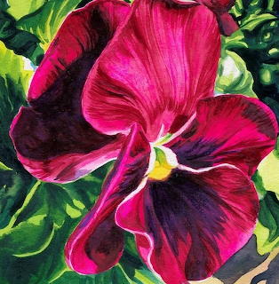 Pansy