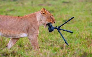 Il ne reste que celà du photographe