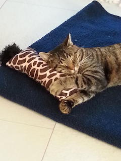 Theo asleep