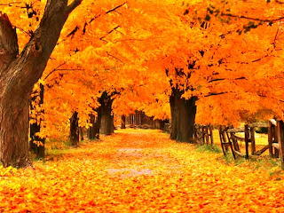 Autumn