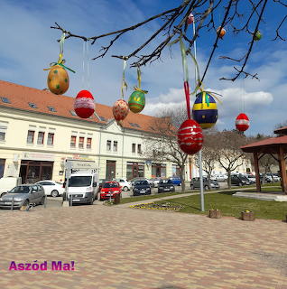 Aszódi tojásfa