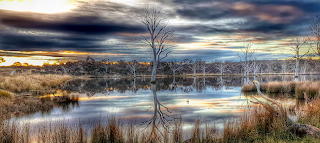 Mulligan's Flat, Australia