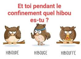 Hiboux