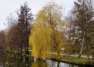 Spring