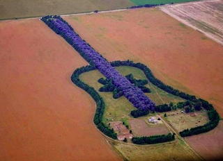 Argentina, Arboleda conforma guitarra