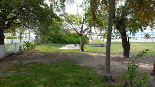 1. LC Lot View