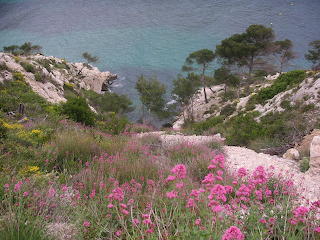 beauté maritime
