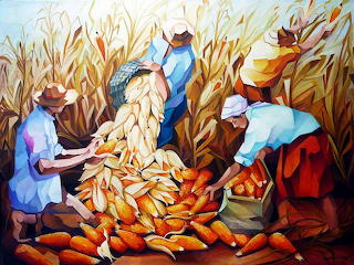Maize harvest Damião Martins