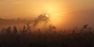 orange sunset
