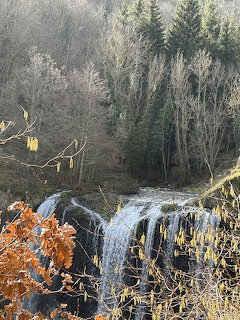 IMG 3519