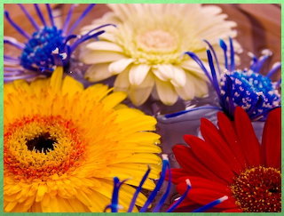 Flor