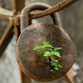 Old padlock