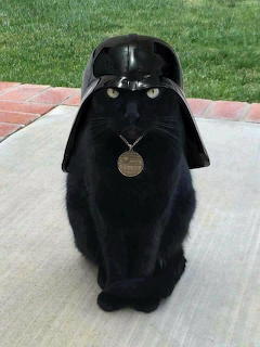 Cat Vader