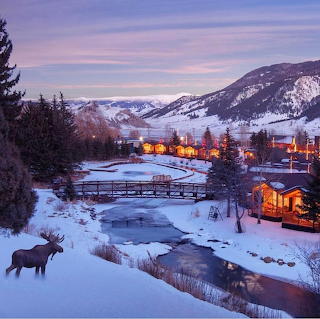 Rustic Inn