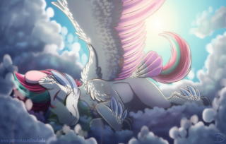 Zipp sleeping on a cloud