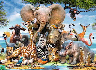 African Animals 1