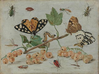 Flowers and Fruits