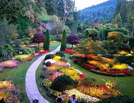 the garden path