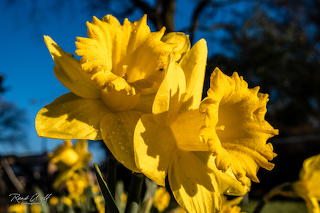 Springtime