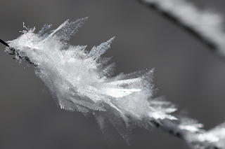 Hoarfrost