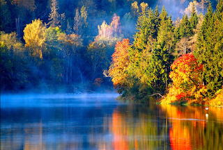 Nature's painting
