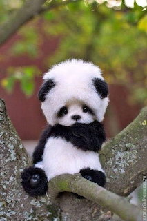 Panda 2