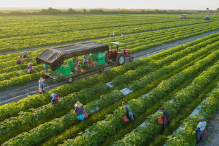 01_organic_farming_i8860_20181003_11260.adapt.1900.1