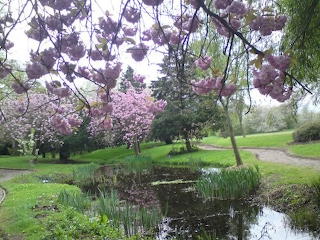 spring