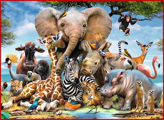 African Animals - D