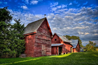 The red barns