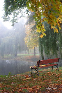 Jesień- foto-Andrzej Berłowski