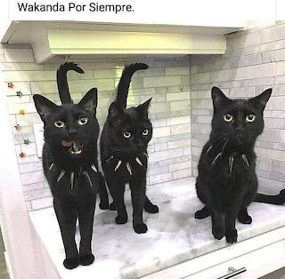 WAKANDA