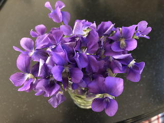 Violets