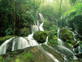 Waterfall in the forest