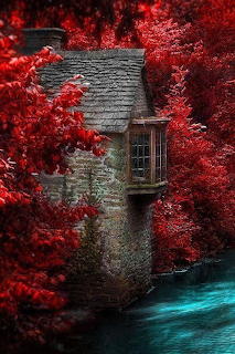 Beautiful Houses and Gardens