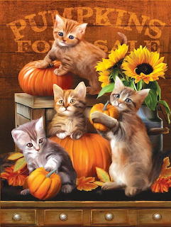 Pumpkins for sale